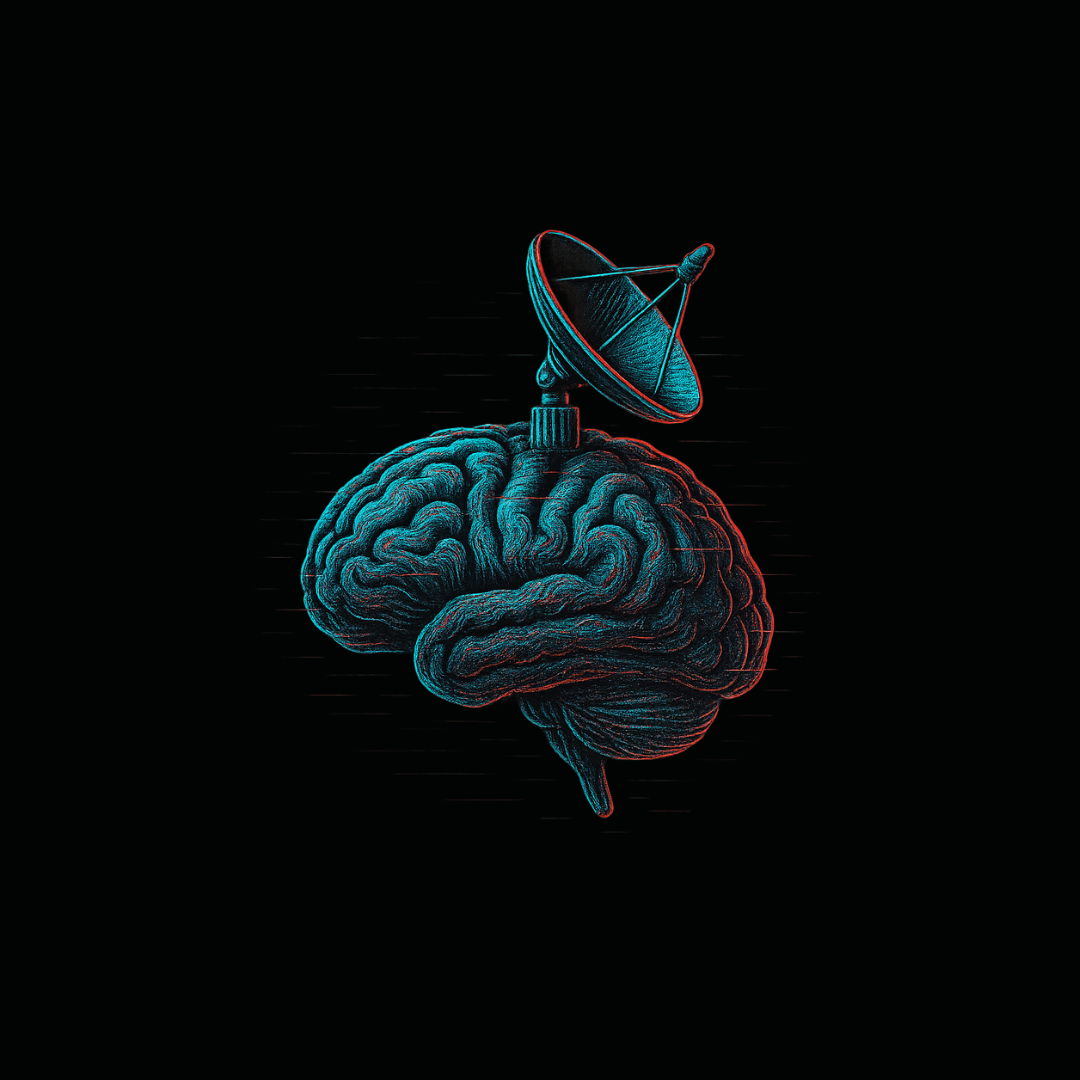 Non-Toxic Aura | All Products