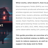 No BS Guide | EMF Protection (Digital Download)