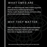 No BS EMF | Starter Guide (Digital Download)