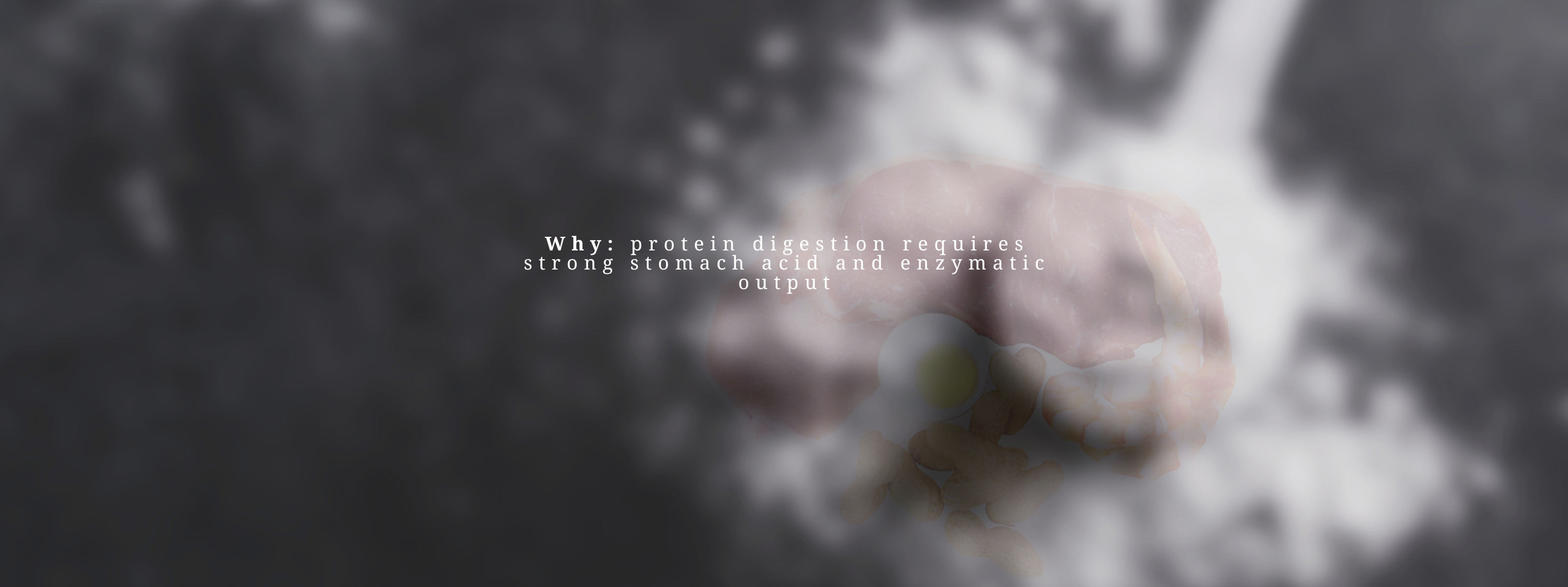 Non-Toxic Aura banner with a soft grayscale stomach image and the text “Why: protein digestion requires strong stomach acid and enzymatic output”